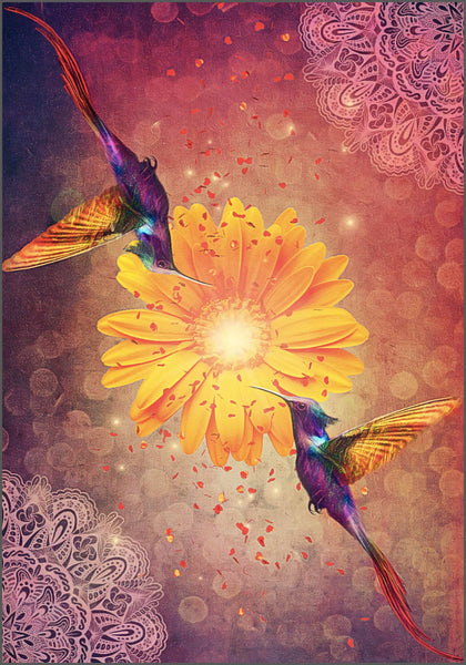 Hummingbird Wisdom Oracle | Mystical World of the Hummingbird | Expanded Messages, Affirmations, and Exercises to Deepen your Personal growth | 44 Card Deck & Booklet