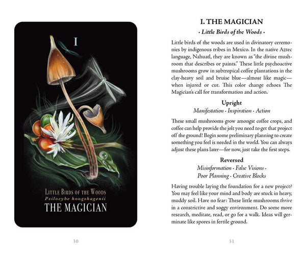 Midnight Magic | Card Deck | Tarot of Mushrooms | Fungi of the Forest | 78 Card Deck & Booklet