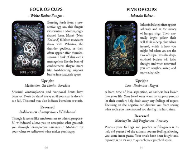 Midnight Magic | Card Deck | Tarot of Mushrooms | Fungi of the Forest | 78 Card Deck & Booklet