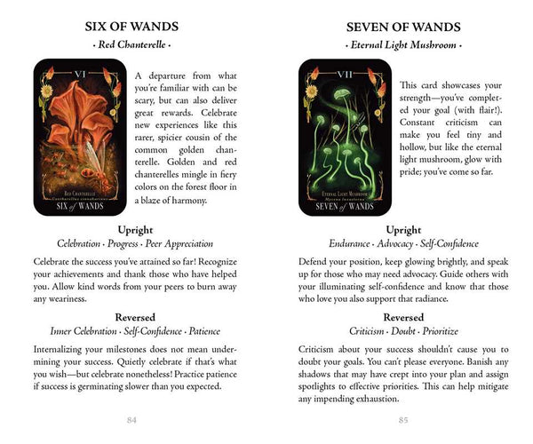 Midnight Magic | Card Deck | Tarot of Mushrooms | Fungi of the Forest | 78 Card Deck & Booklet